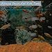 Kaiyuan Dynasty 300pc Fish Tank Glow in The Dark Rocks Glow Rocks for Fish Tank Glow in The Dark Stones Luminous Stones for Aquarium,Pink