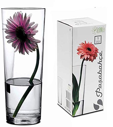 Hogar y Mas Jarrón Cristal Transparente Alto 26 cm. Floreros Decorativos Moderno y Elegante, Flores Decoración 26x7 cm