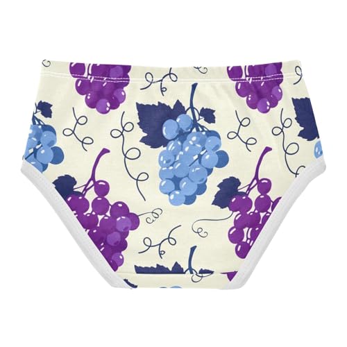 Cotton Girls Underwear Toddler Blue Purple Grape Beige Girl Panties Cute Flower Briefs Underpants 2t2