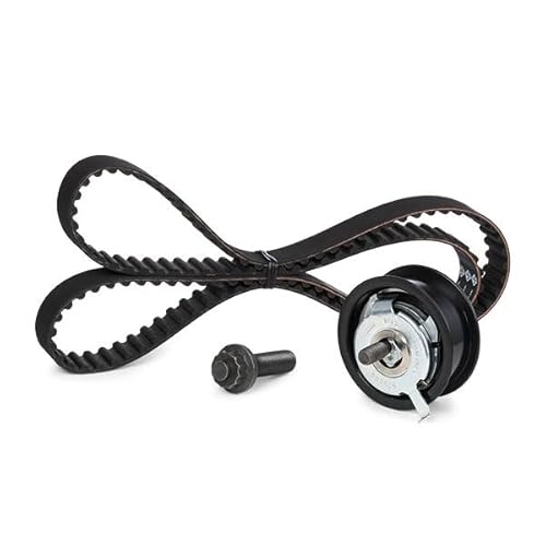 Ina 530016410 Kit Tendicinghia - 2