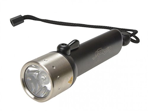 Preisvergleich Produktbild LED Lenser D14, black Taschenlampe