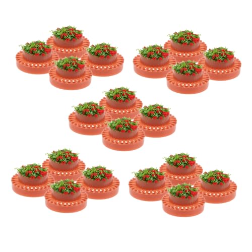 LAPYAPPE 20XP[ ~j`AvX`bNԖ~ ^V~[VAؔ ͌^Ԓd ͌^pkiϑf