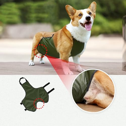 Hundeschürze, Bauchschutz, Wasserdicht, Hundelätzchen, Brustschutz, Haustier-Schutzweste für Weibliche und Männliche Hunde, Corgi, Dackel, Bulldogge, Welpe, Verhindert, Dass der Hund(XL-OD Grün)
