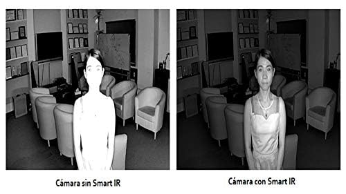 Catálogo de Camaras de Seguridad Dahua del mes. 12 Camaras de Seguridad Dahua marca Dahua (3)
