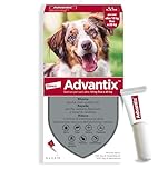 Advantix® Spot-on antiparassitario per Cani da 10 kg a 25 Kg, 6 pipette da 2,5 ml. Elimina zecche, pulci, pidocchi e larve di pulce . Protegge da zanzare, pappataci e rischio di leishmaniosi.