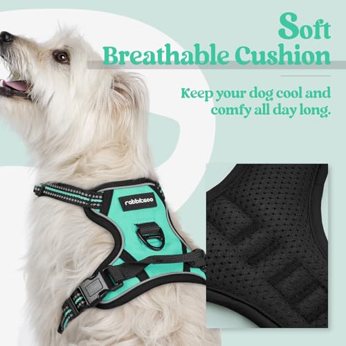 Image of rabbitgoo Dog Harness No Pull with 2 Leash Clips, Adjustable Soft Padded, Reflective Oxford No Choke Pet Vest with Easy Control Handle for Puppy, Turquoise, XS