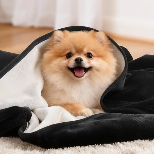Image of LOOBANI Waterproof Dog Blanket: Spill-Proof Puppy Blankets for Small Medium Dogs Washable, Reversible Soft Flannel Pet Throw for Dog Bed, Crate, Couch Sofa Cover, Travel, 30 inch x 40 inch, Black & Beige