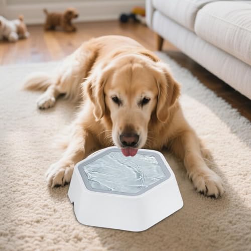 Gamelle d'eau pour chien 800 ml avec plateau flottant anti-goutte