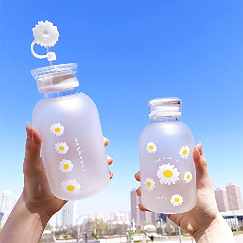 Cute Water Bottles Kawaii Aesthetic Water Bottles Milk Juice Daisy Glass Water Cup For Girls, Straw And 2 Lids, 16 Oz (Four Flower) #TOP3