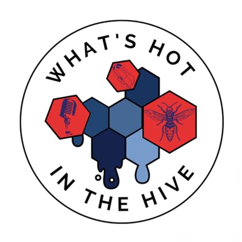 What’s Hot in the Hive Titelbild