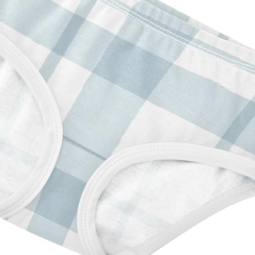 Hipster Panties All Seasons Panties Comfort Underwear for Baby Girls in Sizes 2T,3T, 4T, 5T, 6Y and 8Y4