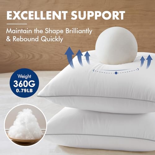Image of MIULEE 12x20 Pillow Inserts Pack of 2, Throw Pillow Inserts with 100% Cotton Cover, Rectangle Decorative Pillow Inserts for Sofa Bed Couch Bench