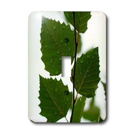 Interrupteur à baïonnette imprimé silhouette feuilles vertes 3dRose - 3