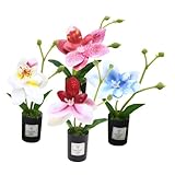 Effet réaliste : confectionnées avec un souci du détail méticuleux, ces mini orchidées artificielles offrent une texture réaliste qui apporte une touche naturelle à votre décoration intérieure, sans aucun entretien. fleur artificielle, pot pour mini orchidée
