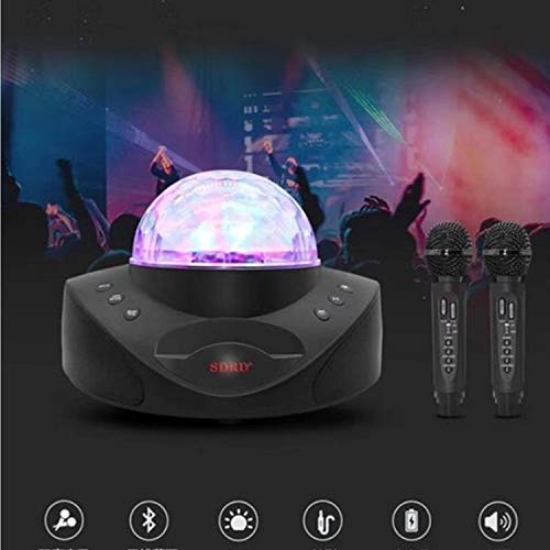 Altavoz Bluetooth inalámbrico LLD SD-308 con micrófonos duales para cantar sin cables 6