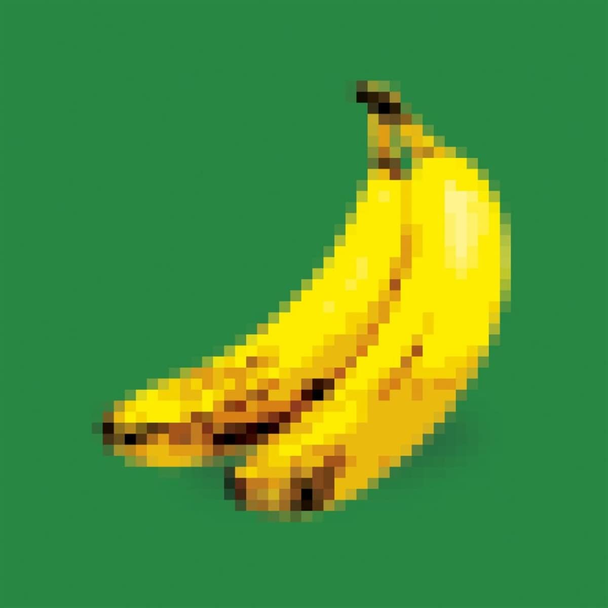 「Donkey Kong Country 2」Soundtrack　Vinyl Video Game Lofi: Donkey Kong Country 2 (Original Soundtrack