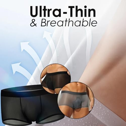 Niksy Sheer Underwear for Men, 5pcs Mens Ultra-Thin Ice Silk Transparent Boxer Briefs, Seamless Breathable Cool3