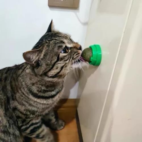 FOONEA 4PCS Catnip Balls for Cats Wall Catnip Toys for Cat Lick Kitten Chew Toys Teeth Cleaning Dental Edible Cat Toys - Thumbnail 5