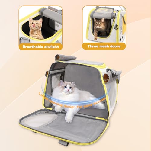 Cat Travel Carrier for Two, Portable Pet Carrier Bag, Pet Travel Carriers for Dogs 45x28x26cm, With Shoulder Strap & Removable Mat, Two-Way Placement on Airplane, Collapsible (Yellow) - Image 4