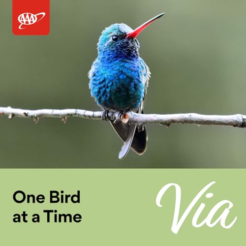 Adventures with the World&rsquo;s Best Birder: In Your Backyard and Beyond