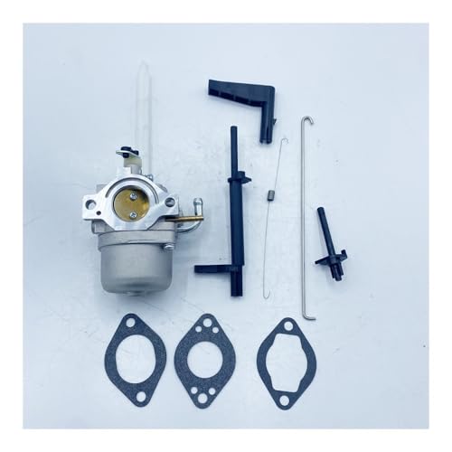 Carburateur 796122 pour réparer le moteur autoportée 20A414