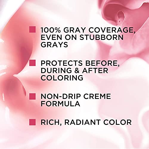 Image of L'Oreal Excellence Creme, 5AB Mocha Ash Brown 1 ea