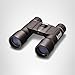 Bushnell Powerview 10x32 Compact Folding Binocular , Black