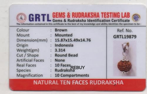 Image of REBUY 10 Mukhi Rudraksha Pendant Indonesian /Java Rudraksha Lab Certified Original Rudraksha Pendant for Men & Women, Origin Indonesian, Color Brown