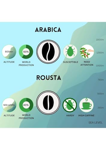 Image of Vaishnavi Estate's Medium Roast Robusta Coffee | Single Origin | Shade Grown | Freshly Roasted & Ground | French Press - 500g, Pack Of 1