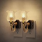 JandCase Night Light, 2 Pack Glass Night Lights Plug into Wall, Dimmble Floral LED Nightlight, 0-100 LM Flower Nightlights, Dusk to Dawn Sensor, 1W Vintage Nite Light for Bathroom Gift Vanity Decor