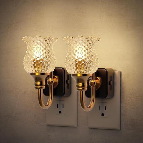 Image of JandCase Night Light, Glass Night Lights Plug into Wall 2 Pack | Dimmable Floral LED Nightlight, 0-100LM Flower Nightlights, Dusk to Dawn Sensor, 1W Vintage Nite Light for Bathroom Gift