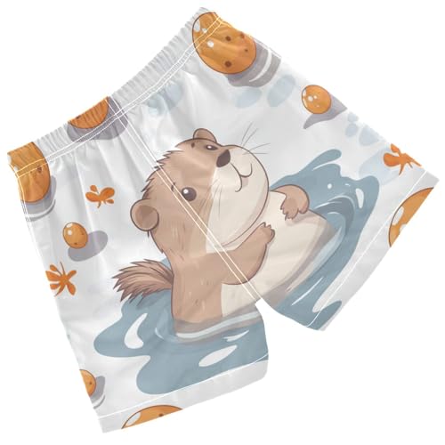 Pigsaly Boys' Swim Board Shorts Cute Capybara Fish Boy's Swim Trunks Kids Swimwear XS Multicolor2