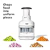 OXO Good Grips Vegetable Chopper #2
