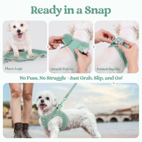 Image of rabbitgoo Dog Harness Small Sized and Leash Set, Step-in Puppy Pet Vest