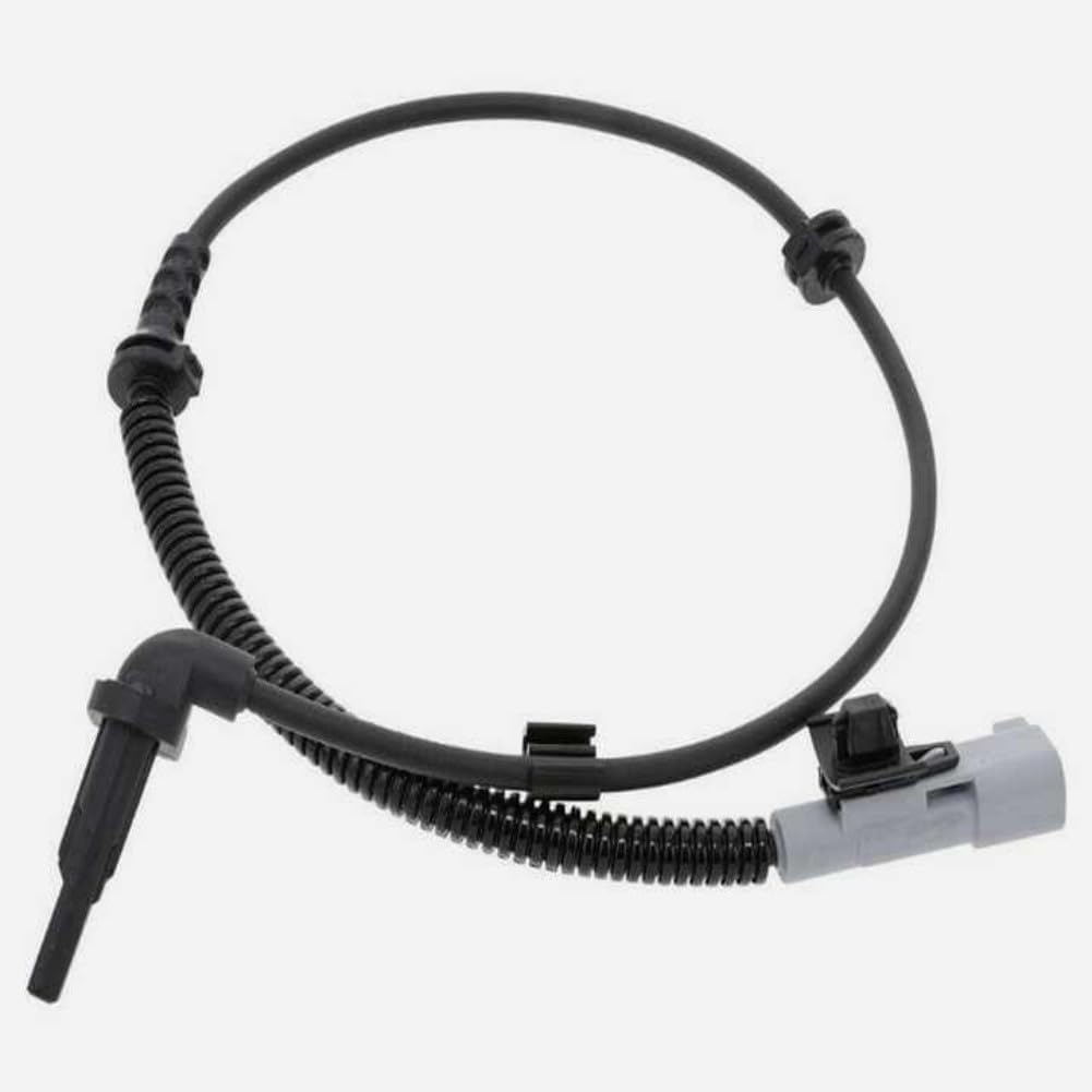 茶道具 飛騨春慶塗 散木 大棗 花押あり 共箱 N 6075