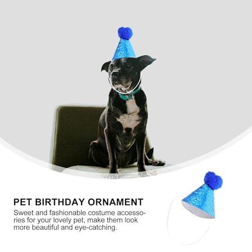 Set de sombrero y bandana para perros azul miniatura 6