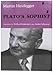Plato's Sophist (Studies in Continental Thought)