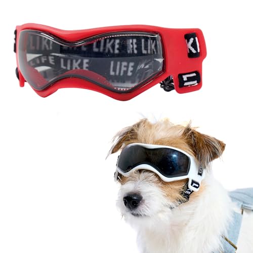 �yLIFELIKE�����zLIFELIKE�S�[�O�� �� �h�b�O�O�b�Y ���p�i ���^���p�S�[�O�� ���p�T���O���X UV�J�b�g ���O���΍� �T���O���X �y�� �U�� �o�C�N �^�] ���b�h �u���b�N �z���C�g �t�@�b�V���� ���C�t���C�N (���b�h, M)