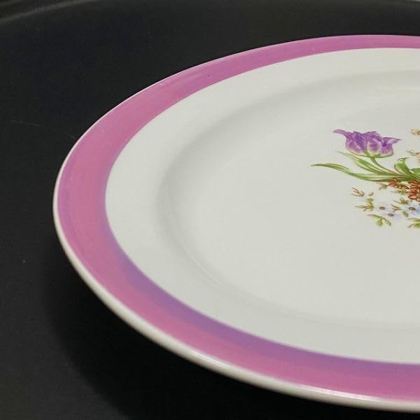 Amazon.co.jp: 台湾レトロ大同磁器楕円形皿 オーバルプレート