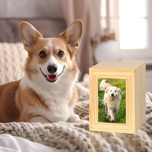 DiDiBirDi Hundeurne,Gedenkurnen aus Holz für Haustiere,Gedenkbox für Haustiere mit Fotorahmen,Urne für Hunde oder Katzen,Katzenurne (50kg)