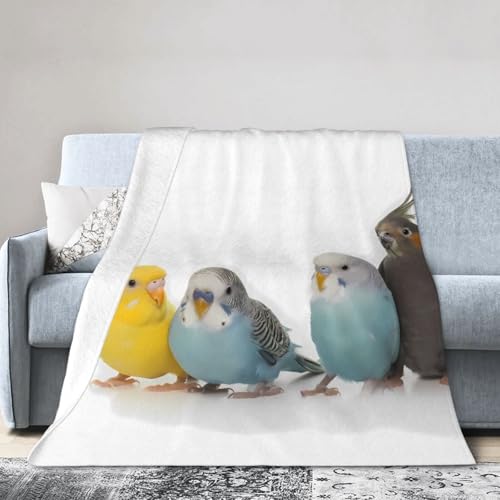 インコ オウム 鳥 かわいいふわふわブランケット ひざ掛けふわふわエアコン対策 四季通用クーラーケープ用 80"X60"