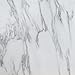 Bianco Tiles