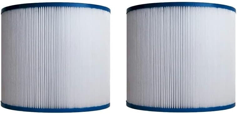 Spa-Daddy Filtro SD-01123 - Repuesto para Aqua Leisure de 2 pies cuadrados  Cartucho desechable para piscina y spa Sofina  Bestway Flowclear