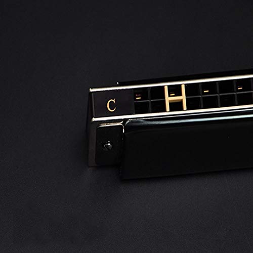 KMDSM Harmonica, 24 trous polyphoniques 12 Tonal Set, Jeux professionnelle des adultes auto-apprentissage style… - Les Beatles, Paul McCartney, John Lennon, RIngo Starr, George Harrison KMDSM Harmonica, 24 trous polyphoniques 12 Tonal Set, Jeux professionnelle des adultes auto-apprentissage style… – Image 3