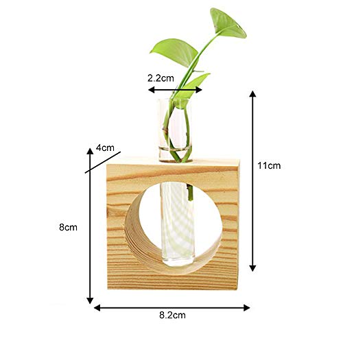 XWU Vaso de Vidro, Tubo de teste de vidro cristal planta terrário vaso vasos de flores para plantas