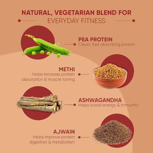 Dr. Vaidya's Store Dr. Vaidya's Plant Protein Powder, 500g 24 g - Image 5