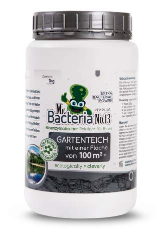 Mr. Bacteria No. 13 Limpiador y Tratamiento de Agua Verde para estanques de jardín, Lago (para estanques de 100 m2 y más), Cuidado del Estanque, Cuidado del Agua - Verano 1kg (1)