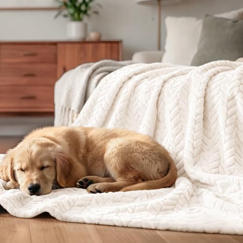 Image of Exclusivo Mezcla Soft Fleece Bed Blanket Queen Size, 90 inchx90 inch, Off White | Cozy Fluffy Lightweight Blankets for Summer, Decorative Plush Flannel Throws for Living room, Bedroom with Leaves Pattern