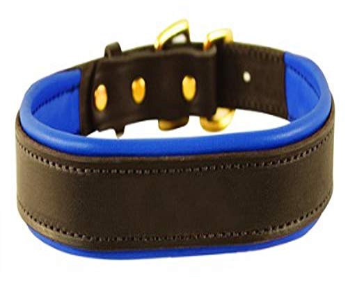 Perri's Padded Leather Dog Collar, Havana/Blue, Medium/1