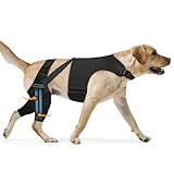 Marnonsis Dog Knee Brace for Torn Acl Hind Leg, Adjustable for Back Leg with 4 Stabilizers, Hip Support to Reduces Pain, Ligament Injuries & Luxating Patella for Small Medium Large Dogs, L